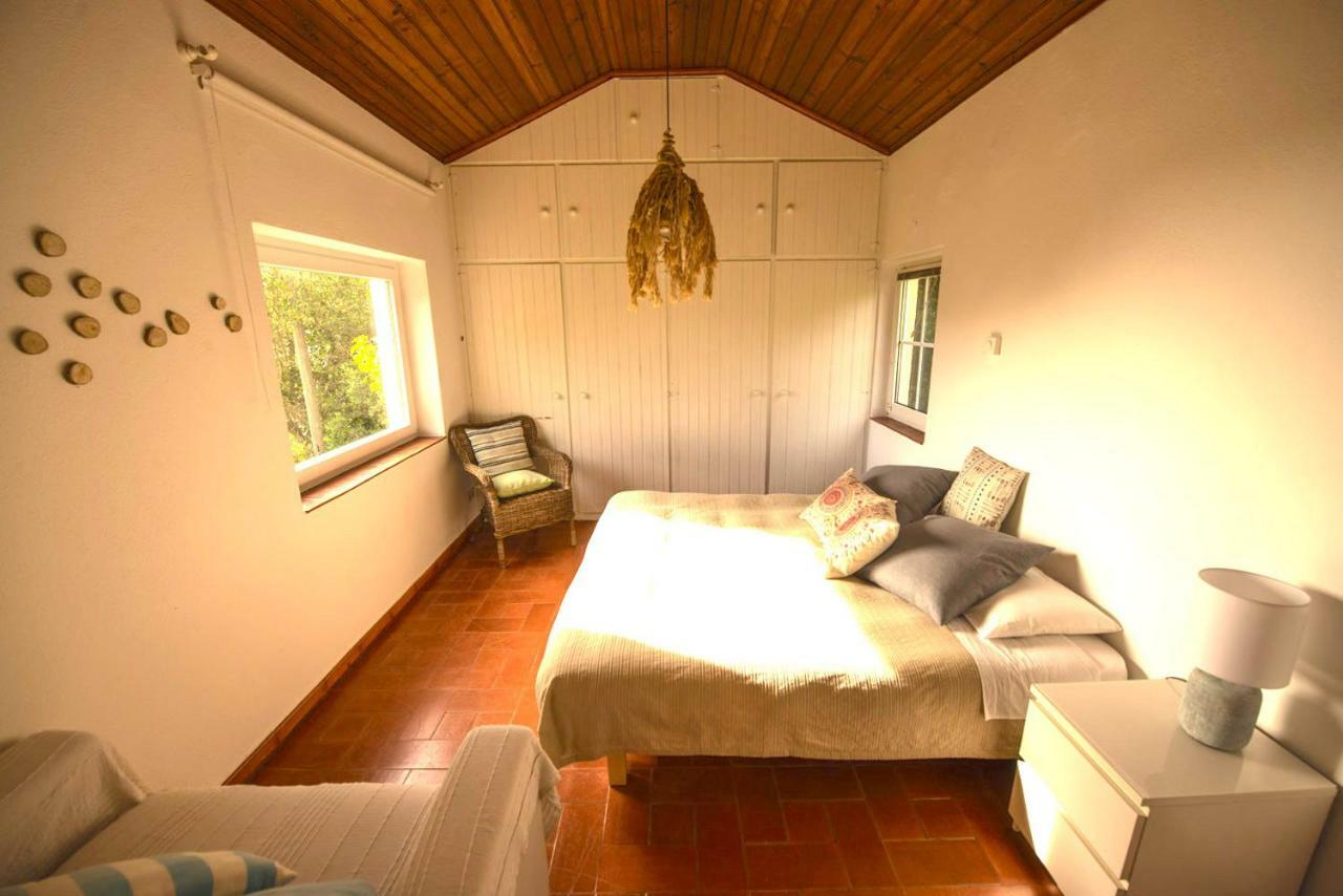 A House In The Woods Villa Sintra Eksteriør billede
